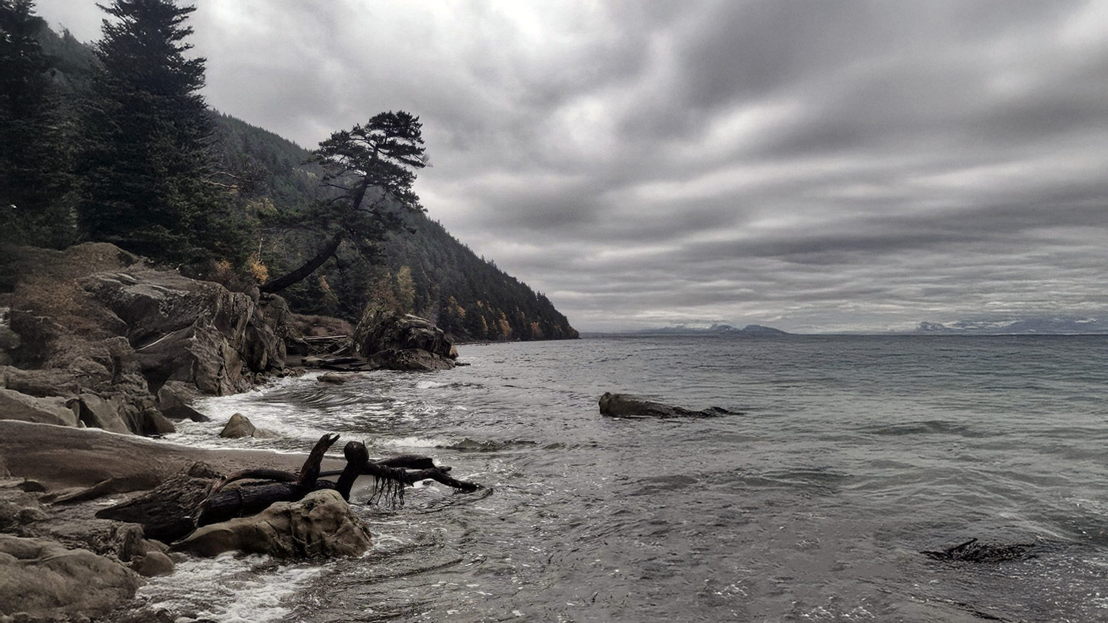 A rocky coastline in Jefferson County, WA